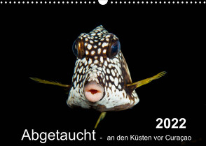 Abgetaucht – an den Küsten vor Curaçao (Wandkalender 2022 DIN A3 quer) von - Yvonne & Tilo Kühnast,  naturepics