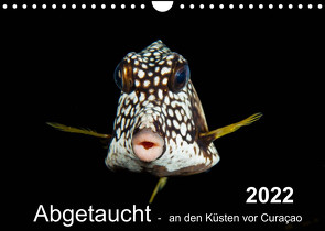 Abgetaucht – an den Küsten vor Curaçao (Wandkalender 2022 DIN A4 quer) von - Yvonne & Tilo Kühnast,  naturepics