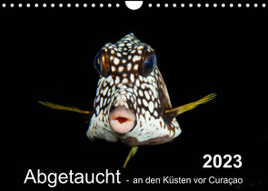 Abgetaucht – an den Küsten vor Curaçao (Wandkalender 2023 DIN A4 quer) von - Yvonne & Tilo Kühnast,  naturepics