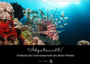 Abgetaucht! Entdecke die Unterwasserwelt des Roten Meeres (Wandkalender 2022 DIN A3 quer) von und Felix Roßbach,  Susann