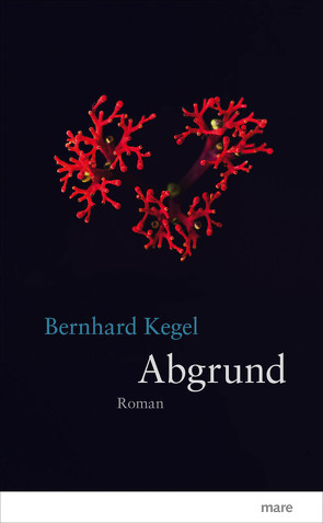 Abgrund von Kegel,  Bernhard