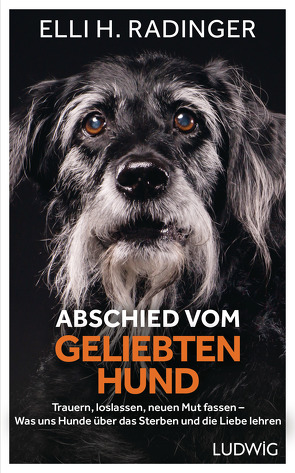 Abschied vom geliebten Hund von Radinger,  Elli H.