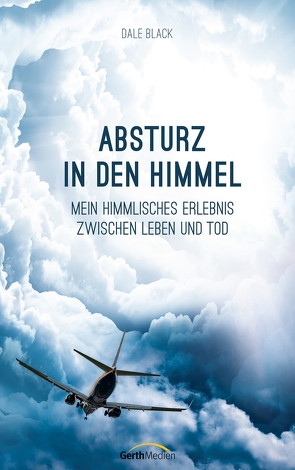 Absturz in den Himmel von Black,  Dale