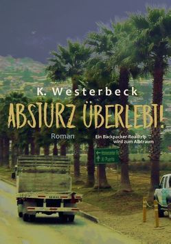 Absturz überlebt! von Westerbeck,  Kerstin