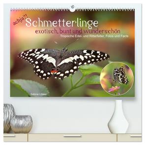 achja?! Schmetterlinge, exotisch, bunt und wunderschön (hochwertiger Premium Wandkalender 2024 DIN A2 quer), Kunstdruck in Hochglanz von Löwer,  Sabine