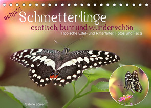 achja?! Schmetterlinge, exotisch, bunt und wunderschön (Tischkalender 2023 DIN A5 quer) von Löwer,  Sabine