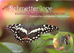 achja?! Schmetterlinge, exotisch, bunt und wunderschön (Wandkalender 2023 DIN A2 quer) von Löwer,  Sabine