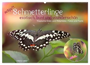 achja?! Schmetterlinge, exotisch, bunt und wunderschön (Wandkalender 2024 DIN A2 quer), CALVENDO Monatskalender von Löwer,  Sabine