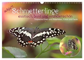 achja?! Schmetterlinge, exotisch, bunt und wunderschön (Wandkalender 2024 DIN A3 quer), CALVENDO Monatskalender von Löwer,  Sabine