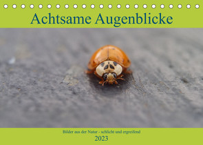 Achtsame Augenblicke (Tischkalender 2023 DIN A5 quer) von FotoART,  JoBe