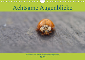 Achtsame Augenblicke (Wandkalender 2023 DIN A4 quer) von FotoART,  JoBe