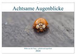 Achtsame Augenblicke (Wandkalender 2024 DIN A3 quer), CALVENDO Monatskalender von FotoART,  JoBe