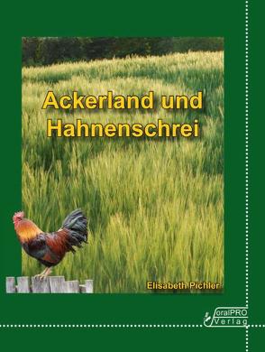 Ackerland und Hahnenschrei von Pichler,  Elisabeth