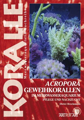 Acropora – Geweihkorallen im Meerwasseraquarium von Brockmann,  Dieter