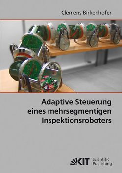 Adaptive Steuerung eines mehrsegmentigen Inspektionsroboters von Birkenhofer,  Clemens