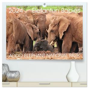 ADDO ELEPHANT NATIONAL PARK Elefanten Babies (hochwertiger Premium Wandkalender 2024 DIN A2 quer), Kunstdruck in Hochglanz von Fraatz,  Barbara