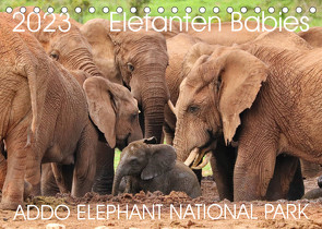 ADDO ELEPHANT NATIONAL PARK Elefanten Babies (Tischkalender 2023 DIN A5 quer) von Fraatz,  Barbara