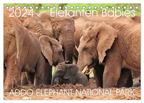 ADDO ELEPHANT NATIONAL PARK Elefanten Babies (Tischkalender 2024 DIN A5 quer), CALVENDO Monatskalender von Fraatz,  Barbara