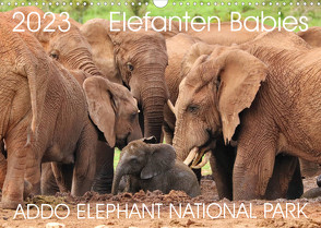 ADDO ELEPHANT NATIONAL PARK Elefanten Babies (Wandkalender 2023 DIN A3 quer) von Fraatz,  Barbara