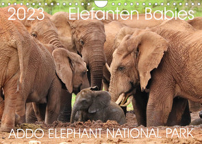 ADDO ELEPHANT NATIONAL PARK Elefanten Babies (Wandkalender 2023 DIN A4 quer) von Fraatz,  Barbara