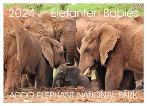 ADDO ELEPHANT NATIONAL PARK Elefanten Babies (Wandkalender 2024 DIN A2 quer), CALVENDO Monatskalender von Fraatz,  Barbara