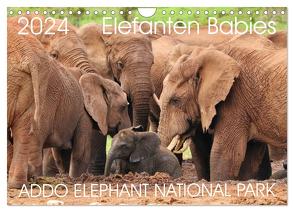 ADDO ELEPHANT NATIONAL PARK Elefanten Babies (Wandkalender 2024 DIN A4 quer), CALVENDO Monatskalender von Fraatz,  Barbara