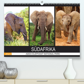 ADDO ELEPHANT NATIONAL PARK SÜDAFRIKA (Premium, hochwertiger DIN A2 Wandkalender 2022, Kunstdruck in Hochglanz) von Fraatz,  Barbara