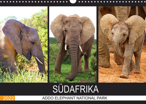 ADDO ELEPHANT NATIONAL PARK SÜDAFRIKA (Wandkalender 2022 DIN A3 quer) von Fraatz,  Barbara