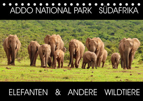 ADDO NATIONAL PARK SÜDAFRIKA – ELEFANTEN & ANDERE WILDTIERE (Tischkalender 2022 DIN A5 quer) von Fraatz,  Barbara