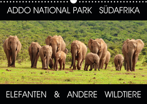 ADDO NATIONAL PARK SÜDAFRIKA – ELEFANTEN & ANDERE WILDTIERE (Wandkalender 2021 DIN A3 quer) von Fraatz,  Barbara