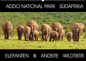 ADDO NATIONAL PARK SÜDAFRIKA – ELEFANTEN & ANDERE WILDTIERE (Wandkalender 2022 DIN A2 quer) von Fraatz,  Barbara