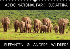 ADDO NATIONAL PARK SÜDAFRIKA – ELEFANTEN & ANDERE WILDTIERE (Wandkalender 2022 DIN A3 quer) von Fraatz,  Barbara