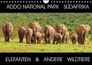 ADDO NATIONAL PARK SÜDAFRIKA – ELEFANTEN & ANDERE WILDTIERE (Wandkalender 2022 DIN A4 quer) von Fraatz,  Barbara