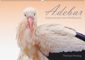 ADEBAR (Wandkalender 2019 DIN A2 quer) von Herzog,  Thomas, www.bild-erzaehler.com