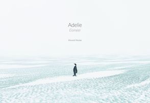 Adelie: Eismeer – Eisland von Ballesta,  Laurent, Jacquet,  Luc, Munier,  Vincent, Pinnow,  Jörn