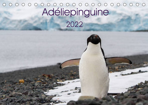 Adéliepinguine (Tischkalender 2022 DIN A5 quer) von Utelli,  Anna-Barbara