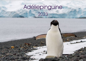 Adéliepinguine (Wandkalender 2023 DIN A2 quer) von Utelli,  Anna-Barbara