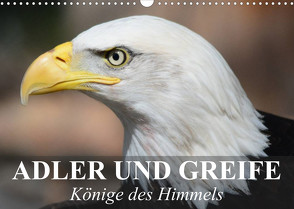 Adler und Greife – Könige des Himmels (Wandkalender 2023 DIN A3 quer) von Stanzer,  Elisabeth