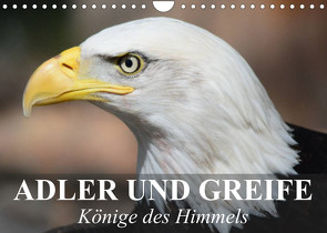 Adler und Greife – Könige des Himmels (Wandkalender 2023 DIN A4 quer) von Stanzer,  Elisabeth