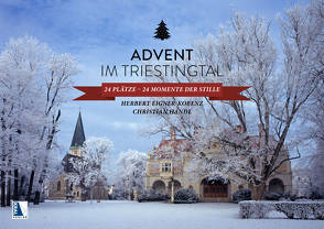 Advent im Triestingtal von Eigner-Kobenz,  Herbert, Handl,  Christian