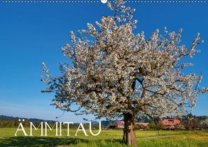 Ämmitau (Wandkalender 2019 DIN A2 quer) von Müller Fotografin,  Beatrice