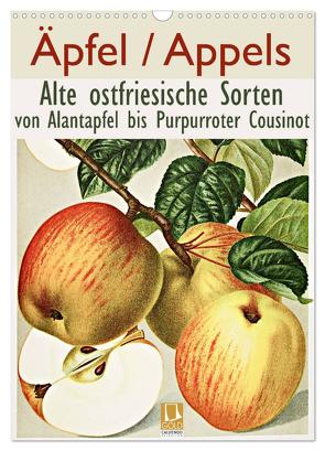 Äpfel/Appels. Alte ostfriesische Sorten (Wandkalender 2024 DIN A3 hoch), CALVENDO Monatskalender von Galle,  Jost