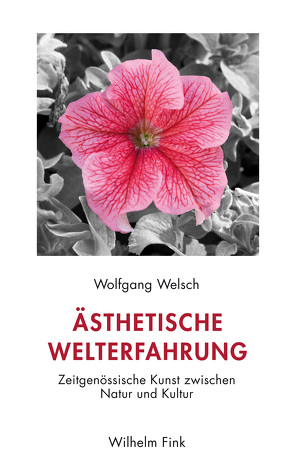 Ästhetische Welterfahrung von Welsch,  Wolfgang