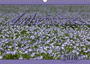 Ästhetisches (Wandkalender 2018 DIN A3 quer) von Flori0