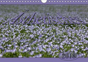 Ästhetisches (Wandkalender 2018 DIN A4 quer) von Flori0