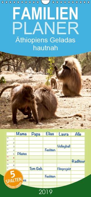 Äthiopiens Geladas hautnah – Familienplaner hoch (Wandkalender 2019 , 21 cm x 45 cm, hoch) von Krause,  Johanna