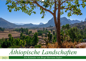 Äthiopische Landschaften (Wandkalender 2021 DIN A2 quer) von Harriette Seifert,  Birgit