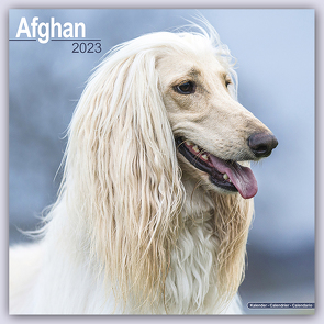 Afghan – Afghanen 2023