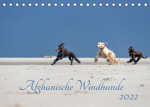 AFGHANISCHE WINDHUNDE 2022 (Tischkalender 2022 DIN A5 quer) von Mirsberger annettmirsberger.de,  Annett