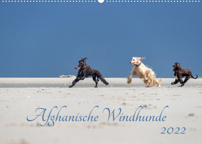 AFGHANISCHE WINDHUNDE 2022 (Wandkalender 2022 DIN A2 quer) von Mirsberger annettmirsberger.de,  Annett